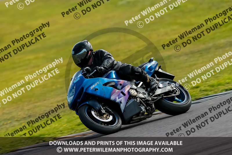 PJ Motorsport 2019;anglesey no limits trackday;anglesey photographs;anglesey trackday photographs;enduro digital images;event digital images;eventdigitalimages;no limits trackdays;peter wileman photography;racing digital images;trac mon;trackday digital images;trackday photos;ty croes